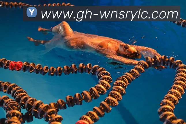 App Interface Preview