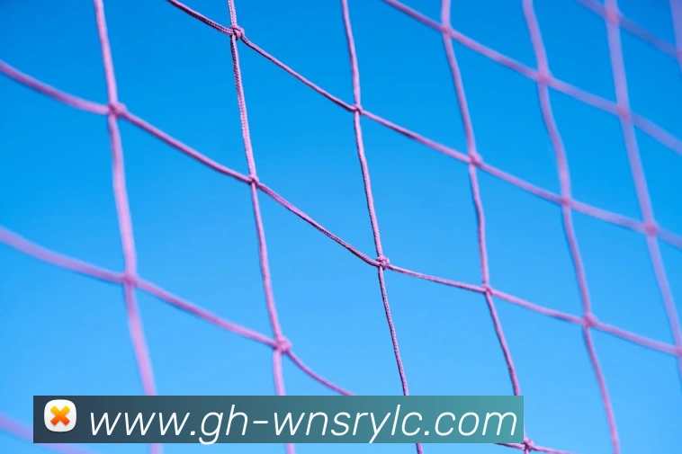 威尼斯人娱乐网站APP 封面图